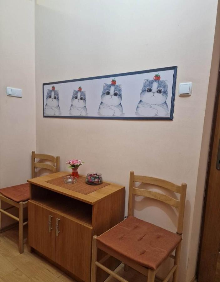 Apartament Central Traian Mosoiu , Parcare Proprie Cluj-Napoca Ngoại thất bức ảnh